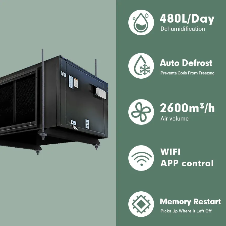 CEILING DEHUMIDIFIER
